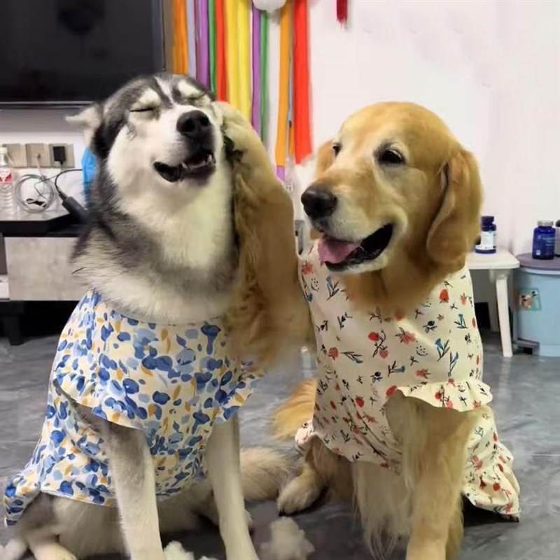 大型犬衣服春秋德绒防掉毛哈士奇阿拉斯加100Q斤拉布拉多狗狗裙子