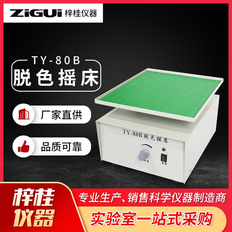 TY80BTY-80A/S脱色摇床凝胶染色脱色凝胶固定脱色摇床