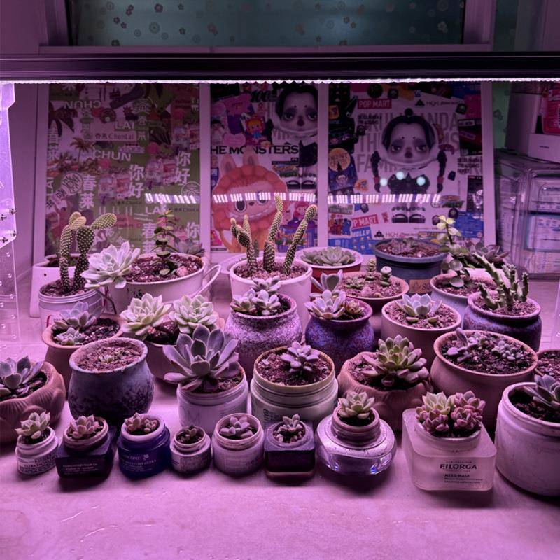 多S13-五排肉植物补光灯宽加室内防止色植物徒长仿太阳植物光生长
