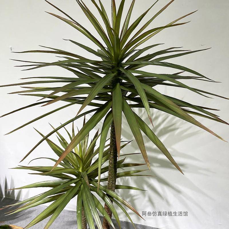 仿真mhg-绿植造景龙血树室内型落地假植物饰楼大饰梯下拐角景观装