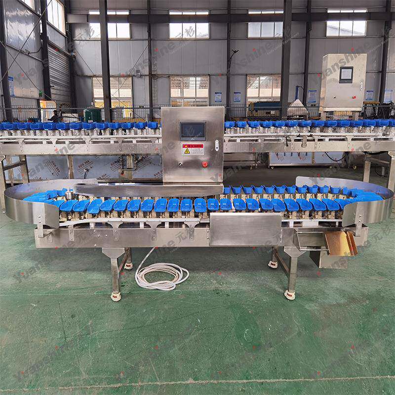 海鲜分量分选机鲳鱼LBI花鱼重量选机全自动黄鱼类重分选机