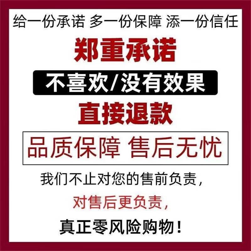 电动车充电自动断电保护器电瓶修复充电器智能脉冲修复充电修复器