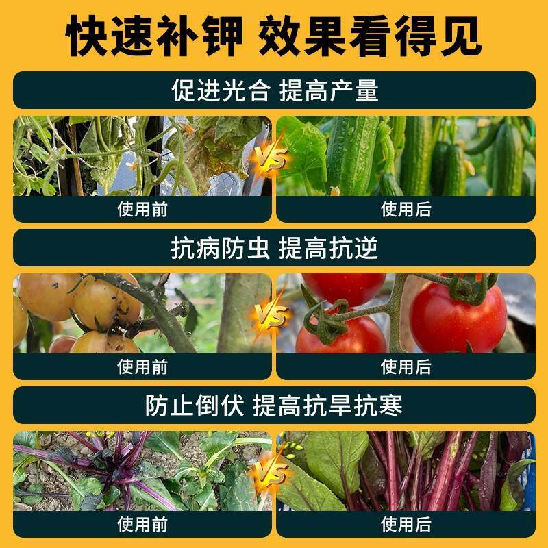 稻壳炭园艺腐熟谷壳碳颗粒菜花用营养土正宗纯草木灰肥料钾肥发酵