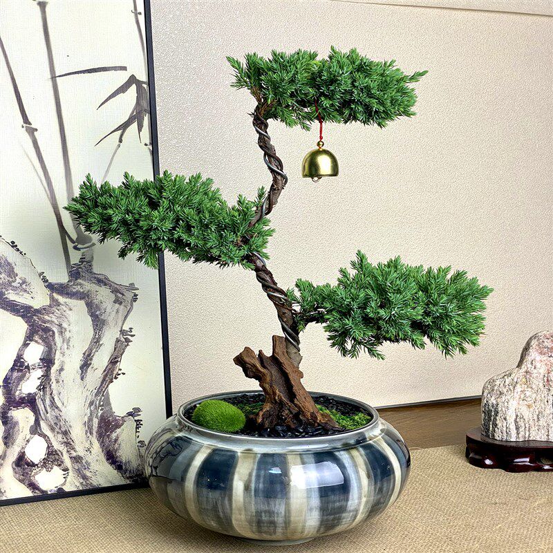 三层塔松盆栽造型松树盆景迎客松客厅办公室内植物桌面绿植放青松