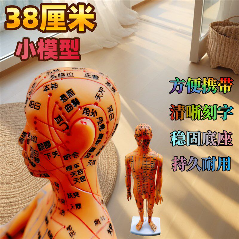 38CM人体针灸模型经络穴位模型身体十二经络铜色模特图可扎针