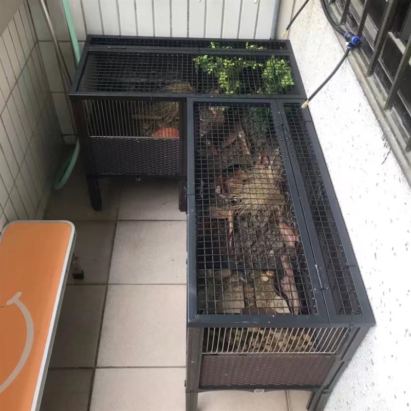 黄缘饲养箱防鼠网 防猫网盖 防蛇网 高档乌龟鱼缸盖子 防狗网