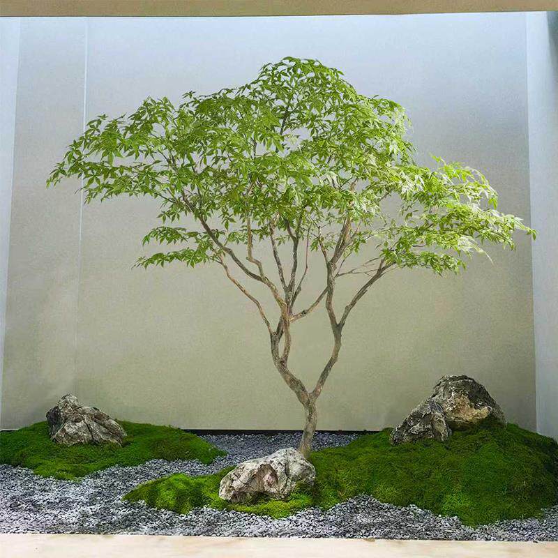 仿真枫叶树假青枫树大型榕树假树室内马醉木落地简约装饰绿植造景