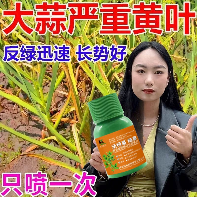 大蒜专用药大蒜病全治黄叶干尖锈病紫斑病根腐病蒜苗专用杀菌剂
