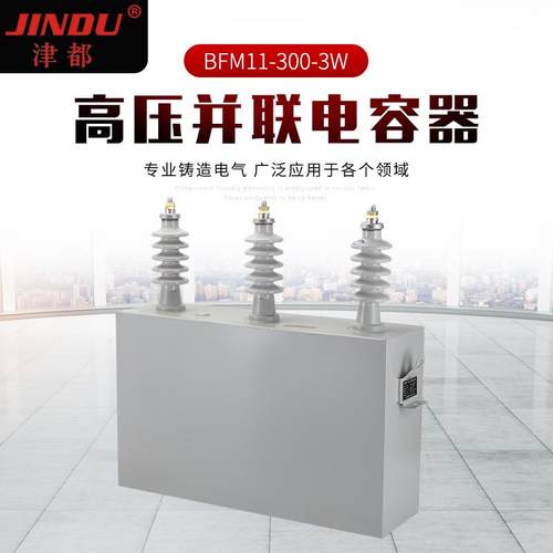 高压并联电容器BFM11-300-3W高压电力电容器户外电容器