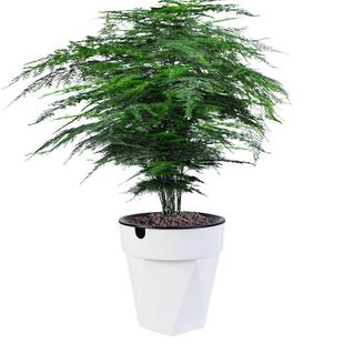 绿萝花盆简约落地客厅特大号花盆懒人家用塑料花盆 自动吸水特大款