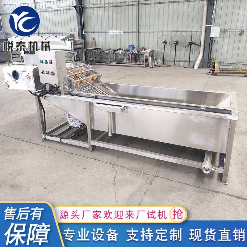 西红柿辣椒去农残清洗设备气泡清洗机大型多功能果蔬清洗设备