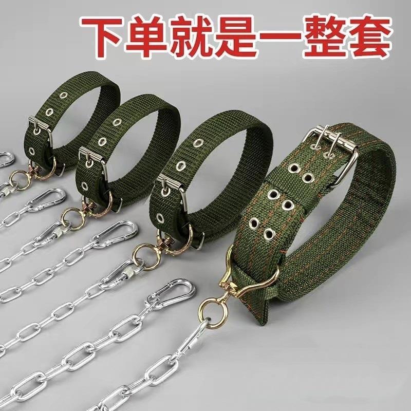 新款不锈钢狗链子大型犬中型犬小型犬铁链项圈狗绳防咬家用牵引带