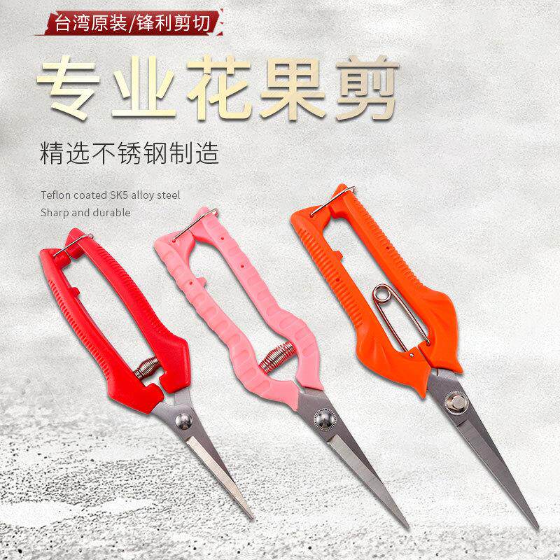 不锈钢果剪花剪果树修枝剪树枝剪修花剪刀园林花木修剪工具园艺