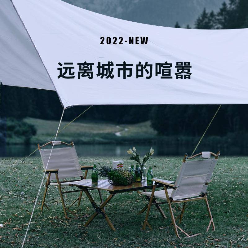 工厂直销便携露营休闲椅有靠背野营稳固折叠凳轻量化户外桌椅组合
