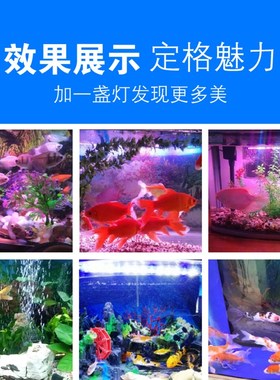 鱼缸灯ledh高亮防水全光谱增艳灯小型水族箱照明灯赏鱼灯吸盘