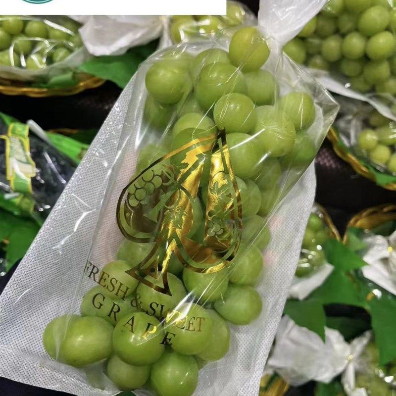 高档阳光玫瑰晴王葡萄q无纺布二合一包装一体袋梯形袋葡萄包装礼,包装,礼品袋/塑料袋,淘宝优惠券,粉丝福利购,淘宝优惠卷