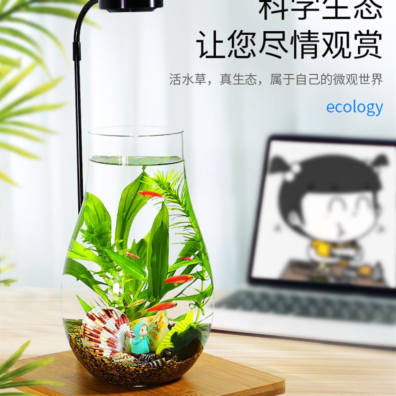 带LED灯迷你水族箱创意diy生态瓶鱼微景M观办公桌面小型玻璃鱼缸