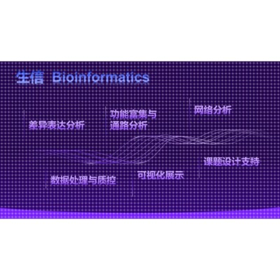 生信分析 Bioinformatics Analysis
