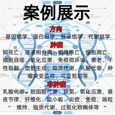 计算化学代算 DFT计算 第一性原理 分子动力学 模拟计算服务
