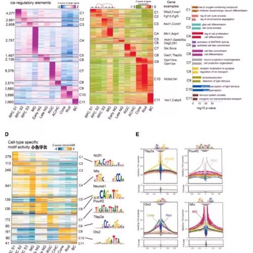 分子动力学模拟 Gromacs Vasp Lammps Gaussian DFT模拟计算代算