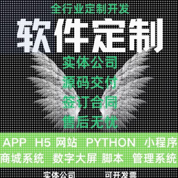 二次调试小程序java代做软件开发python定制PHP代编写代码修改asp