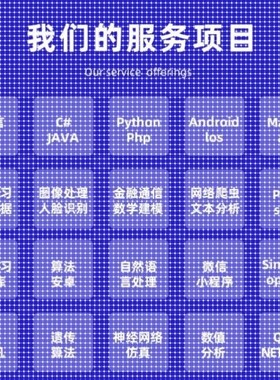 Python代编程深度学习java程序代做matlab代码web帮做彷真算法c++