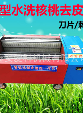 硬皮/薄皮核桃去皮机 核桃去青皮 核桃机清洗机青核桃一体机