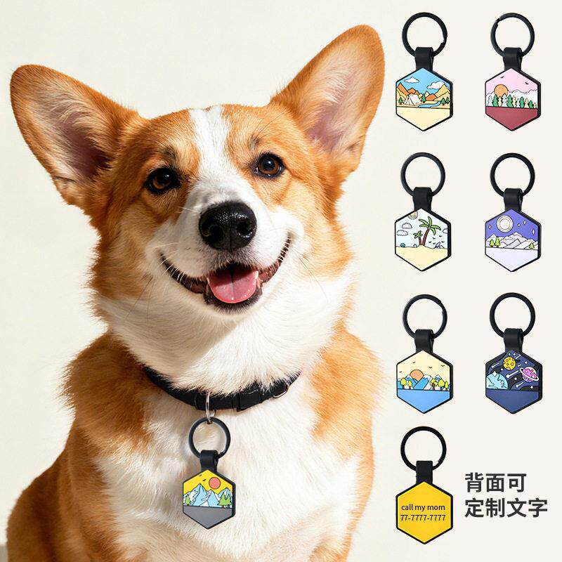 跨境新款宠物身份防丢失吊牌可双面镭雕刻字六方形硅胶狗牌