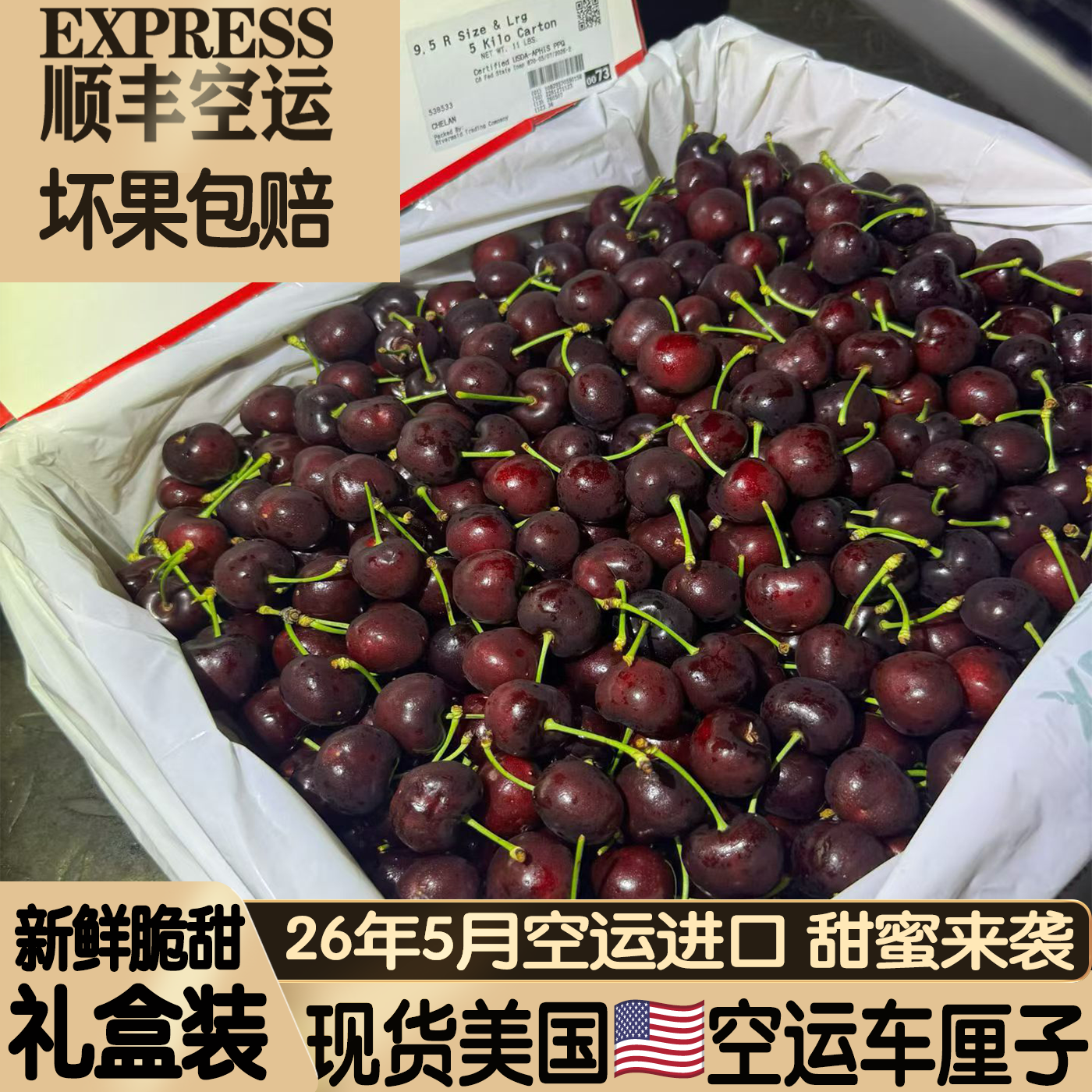 美国进口黑珍珠车厘子空运礼盒装