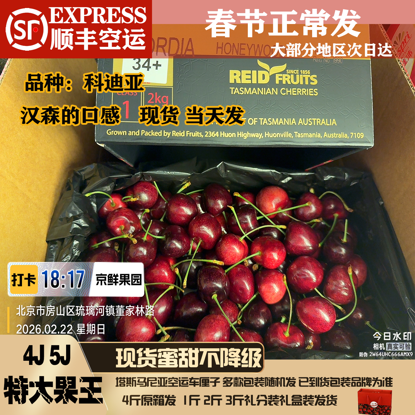 澳洲塔斯马尼亚车厘子5J礼盒装