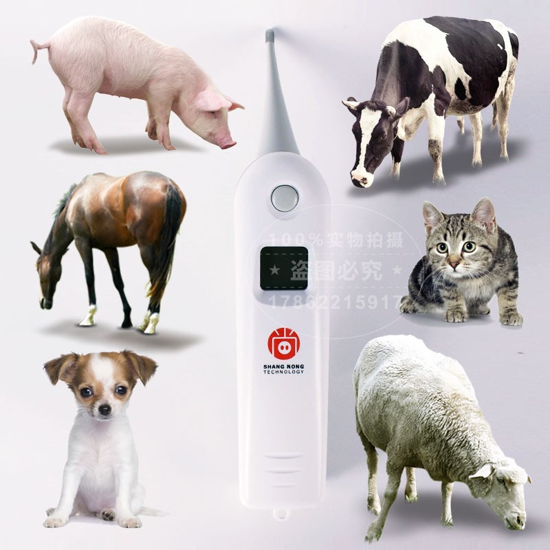 养殖场兽用电子体温计猪用电子肛温计猫狗宠物牛羊温度计快速测温