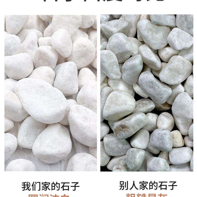 庭院原石大小石子石头装饰碎石石子铺地造景鹅卵石铺路白石子花园