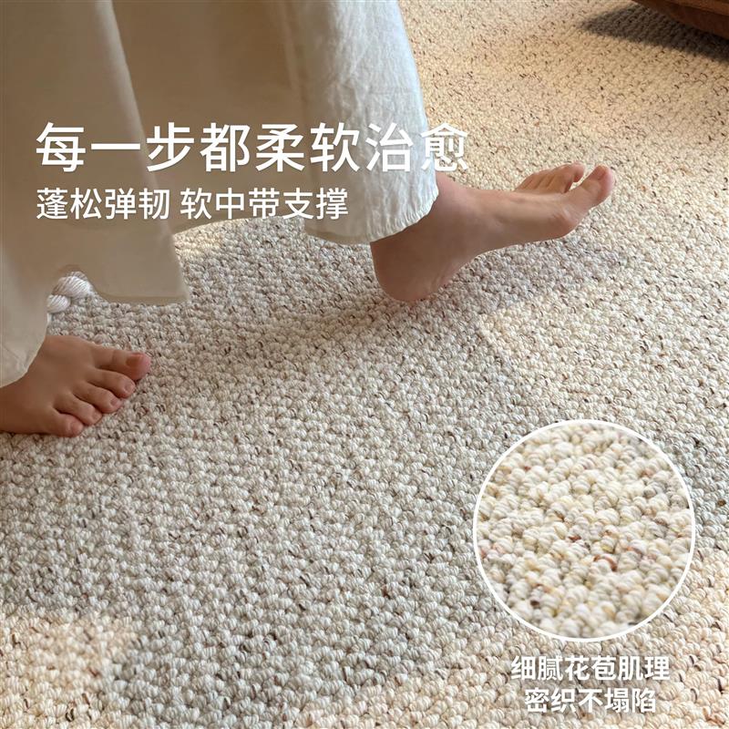 彩纱羊毛地毯现代简约百搭轻奢素编织卧室床边毯高级感客厅沙发毯