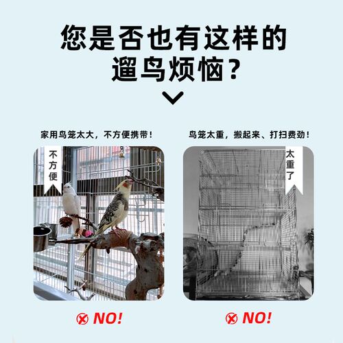 鹦鹉外出笼虎皮牡丹玄风小太阳鹦鹉专用亚克力外带笼小鸟笼子小型