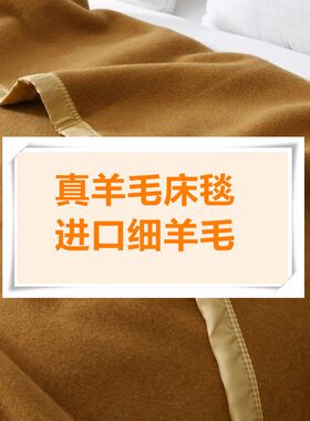 春夏秋保暖双面绒毯100纯羊毛毯防潮透气驼色铺垫午睡毯柔软盖毯