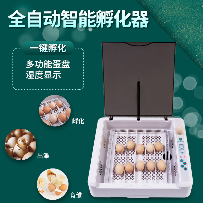 全自动智能孵化器机科研教学生小型家用孵化机大型鸡鸭鹅蛋一键孵