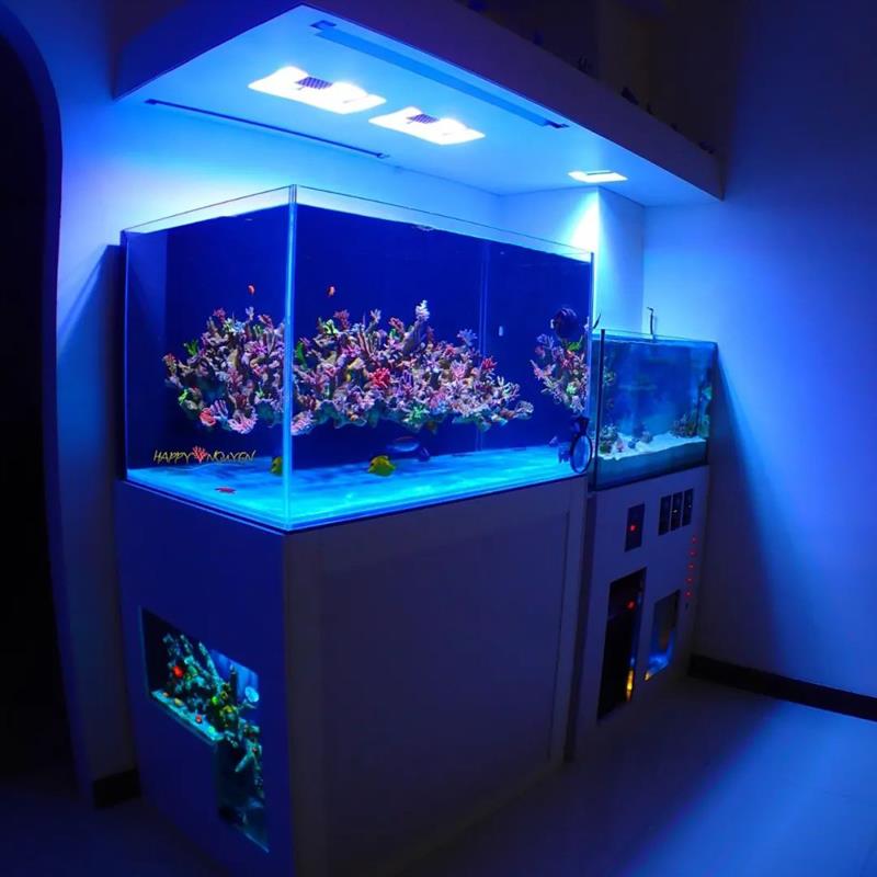 定制超白海水缸海水珊瑚鱼缸全套设备海缸背滤缸客厅实木底滤海缸