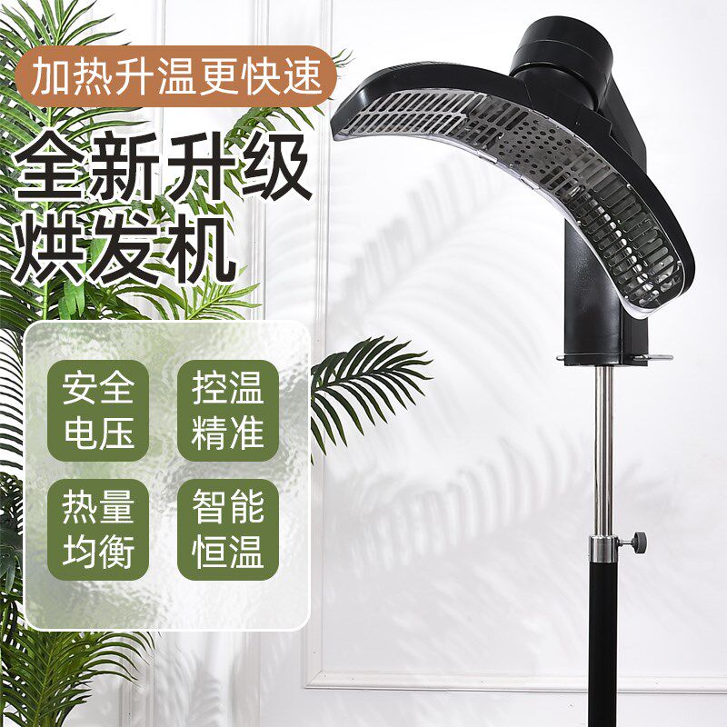 采购产品美发加热器,干燥机,冷烫发护理,定型烫发和染色机,高雅的
