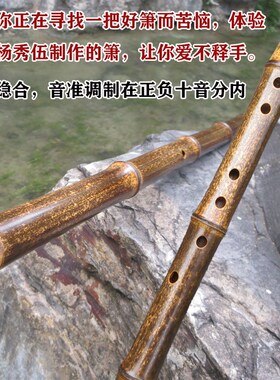 精制紫竹箫带根大头紫竹洞箫萧乐器EFG调六八孔大共鸣素箫专业级