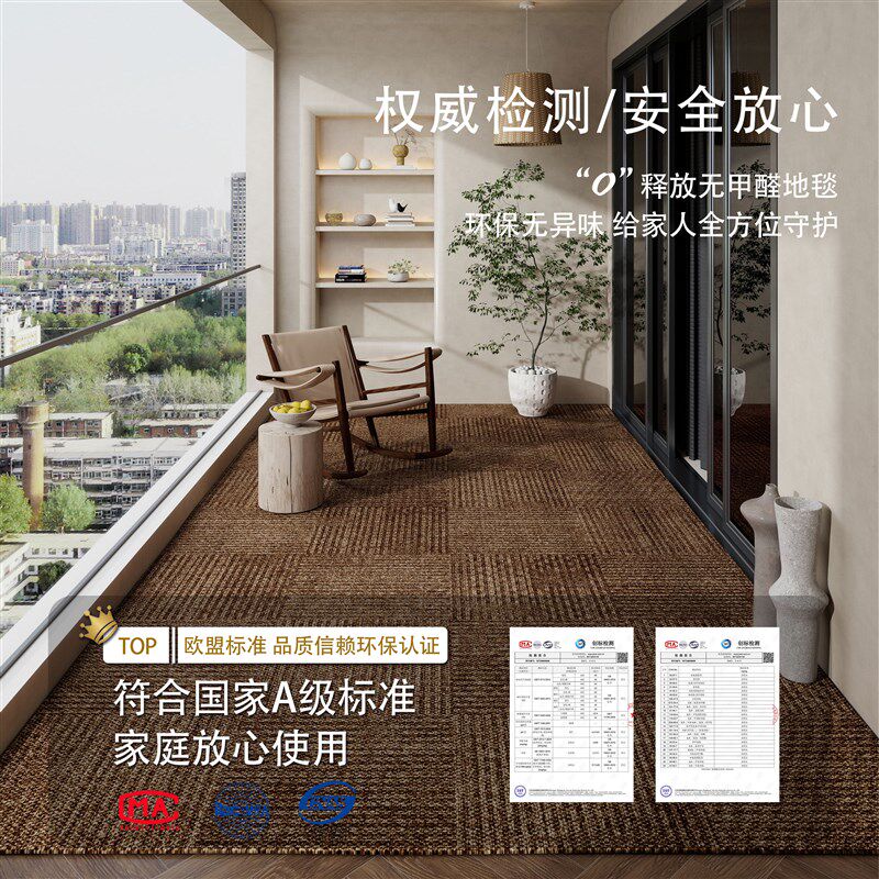 阳台地垫防水防晒免洗玄关脚垫高级感家用全铺大面积地毯耐脏垫子