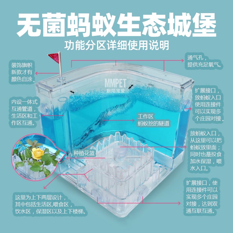 无菌蚂蚁工坊城堡学生套餐超大盒子生态箱宠物蚂蚁活体弓背蚁后
