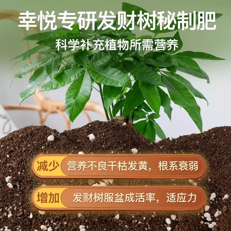 种养发财树专用土营养土花土盆栽土壤发财树肥料专用肥泥土种植土