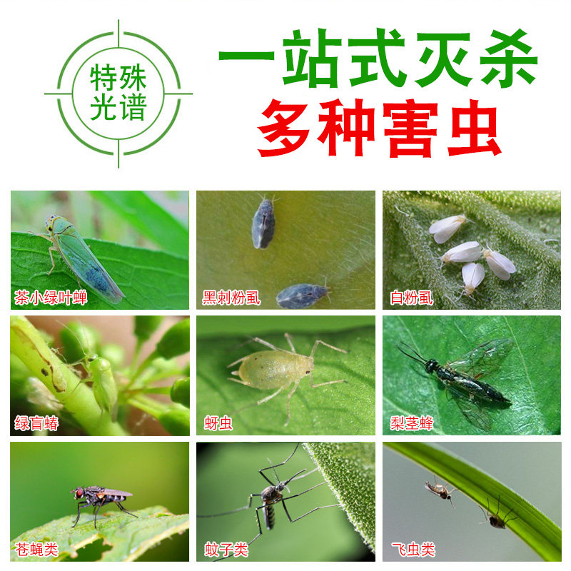 双面黏著式黄色粘虫板100片果园用杀虫黄板适用大棚