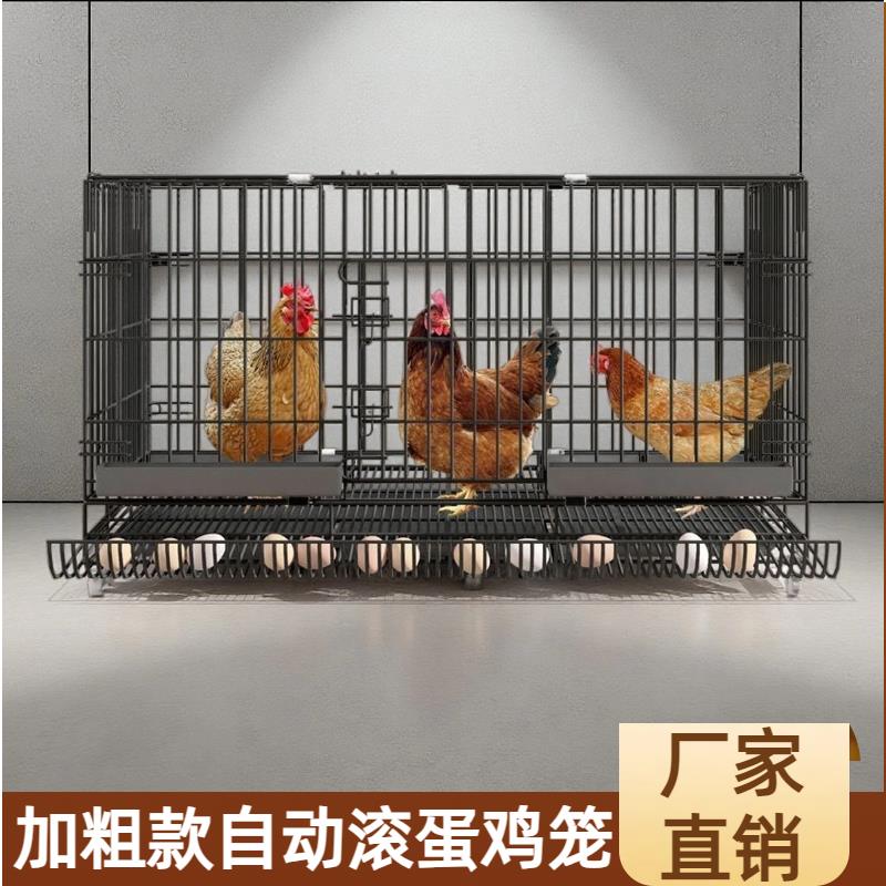 加粗款鸡笼特大号网养殖蛋托加密室内外鸭子铁丝鸭笼自动出蛋鸡笼图片