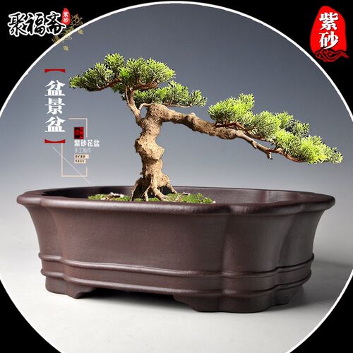 宜兴紫砂花盆 马槽盆景盆黄杨松柏小叶紫檀客厅古典透气花盆特价