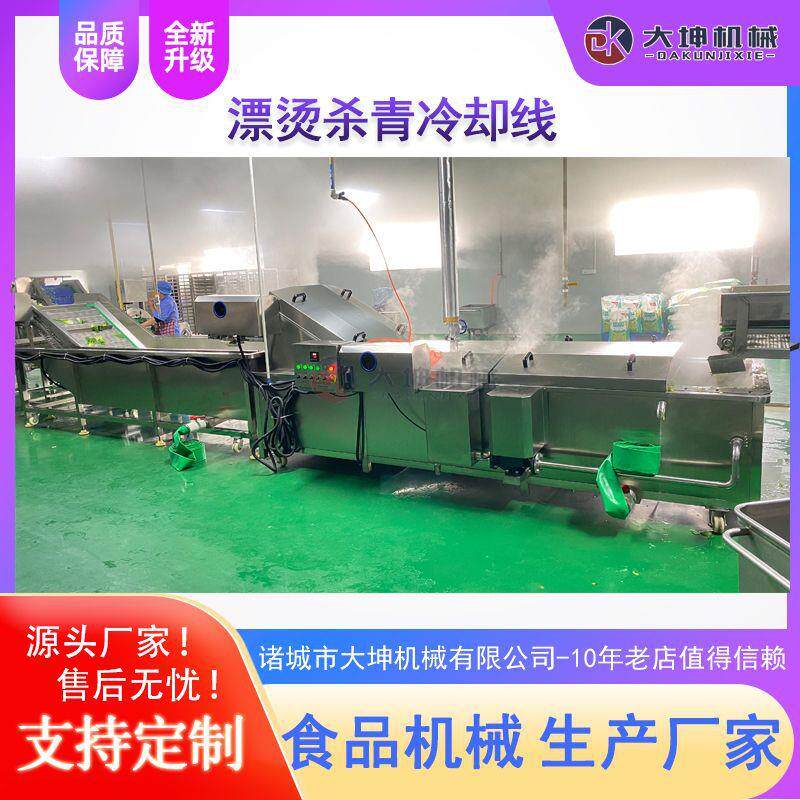 连续式香蕉漂烫机黄桃瓣漂烫预煮流水线水果罐头加工成套设备
