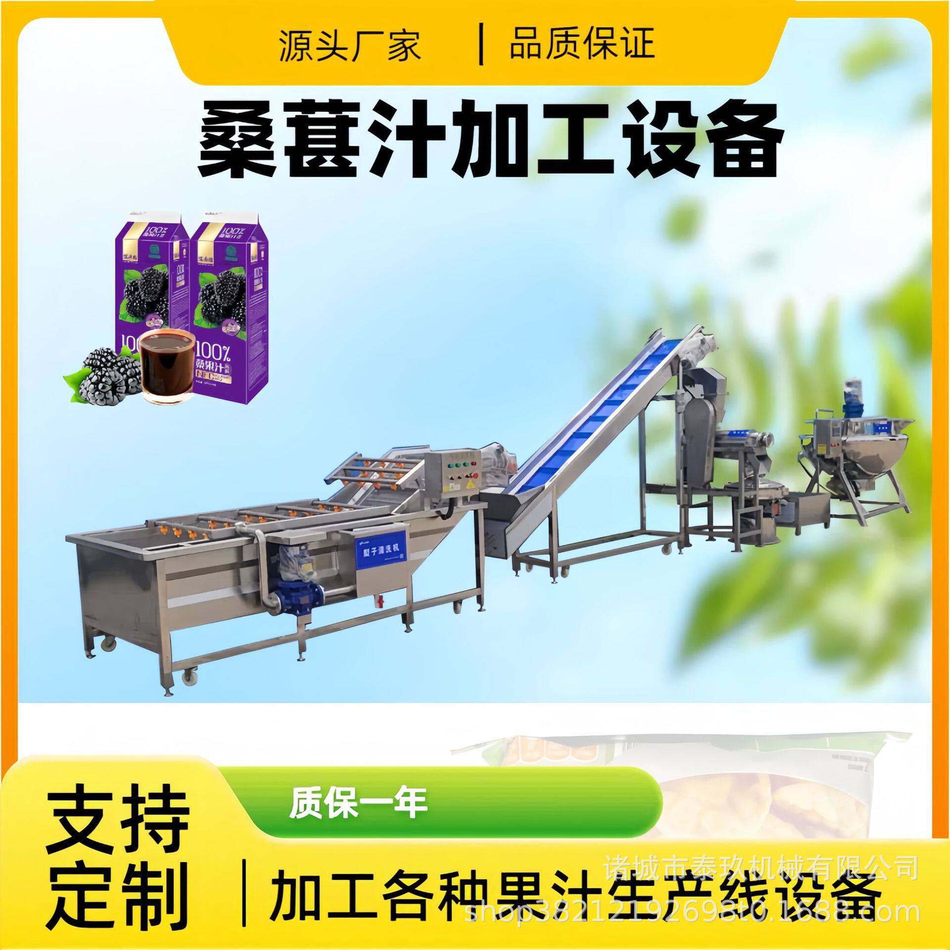 桑椹汁加工设备杨梅桑葚圣女果葡萄榨汁机桑葚露整套加工设备