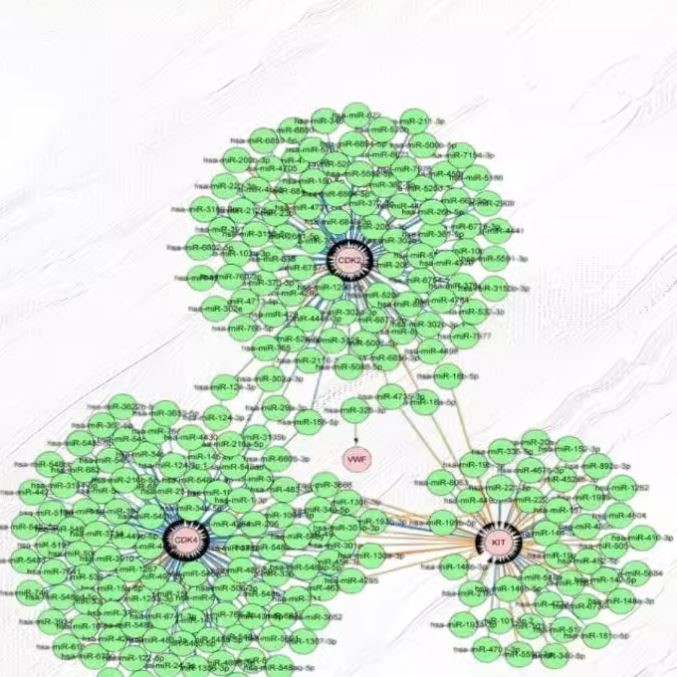 中医药网络药理学代做网药 TCMSP GO/KEGG cytoscape分子对接