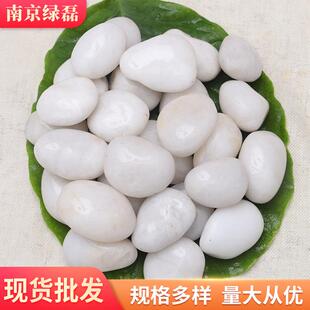 白色抛光鹅卵石 厂家白色雨花石 景观装饰工程铺路小石头子