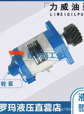 合肥力威3407020-A71-YF1AH动力车转向泵液压转向泵QC16/13-4DXZY